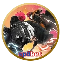 sp8bet